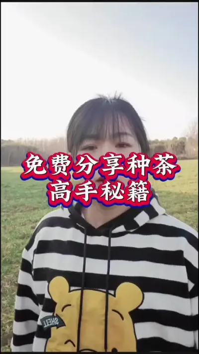 #服务三农支持三农 #茶树种植技术与管理 #茶 #茶园管理