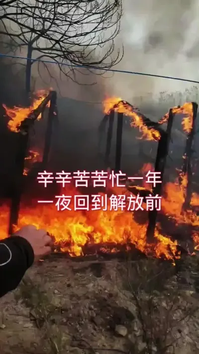 进入冬季，养殖朋友一定要注意防火安全 #肉鸭养殖 #养殖 #养鸭人 #养殖人加油 #养殖不易也要从容应对
