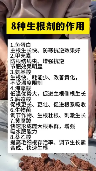 8种生根剂的作用#分享农业知识帮农民增产增收 #三农 #农业知识分享