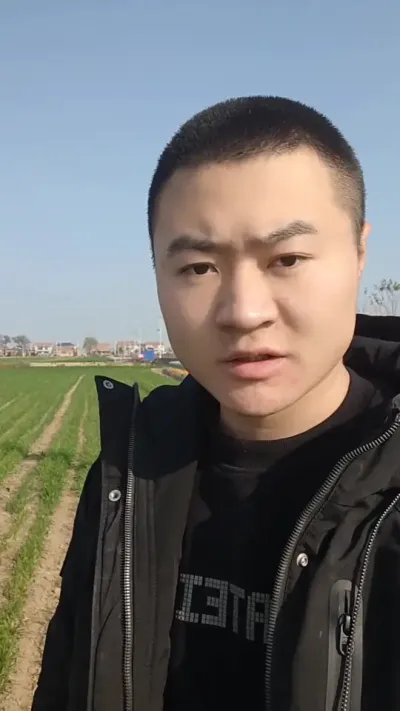 除草节节麦 小麦停止喷施除草剂，以免产生药害#抖音助农 #新农人计划 #病虫害防治 #小麦