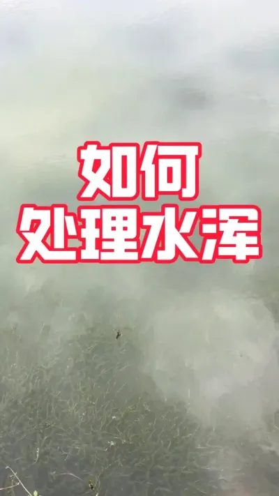 蟹塘水浑调水方法分享#大闸蟹养殖#螃蟹养殖#河蟹养殖#大闸蟹#抖音助农