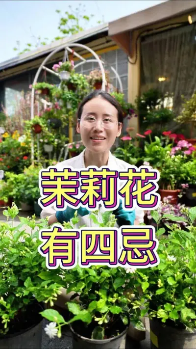 茉莉花有四忌#花卉绿植 #养花小知识 #养花我是认真的 #花卉绿植盆栽 #茉莉花