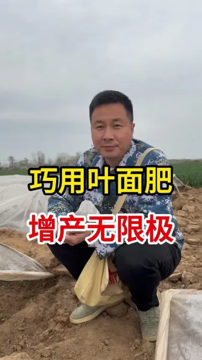 作物生长，减肥增效就要巧用叶面肥#农技知识分享 #辣椒种植 #农业技术推广 #农业种植 #抖音助农