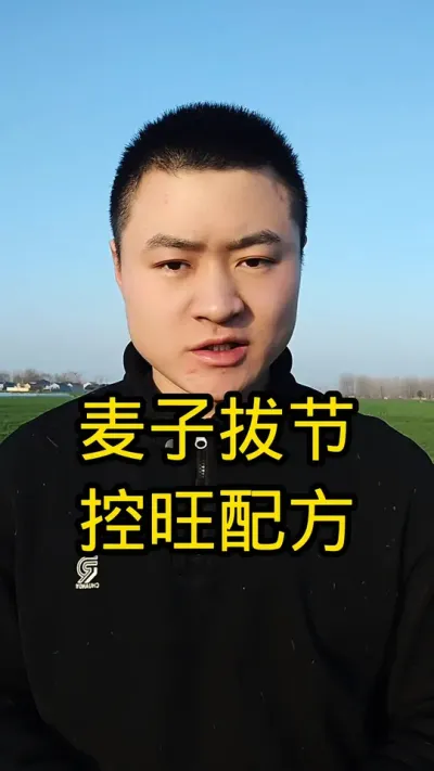#病虫害防治 #新农人计划 #抖音助农 #小麦 #春耕进行时