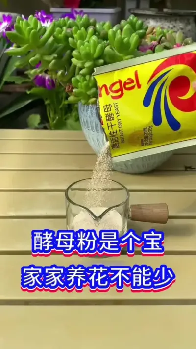 家庭养花小技巧#养花小知识 #爱生活爱养花 #英子园艺
