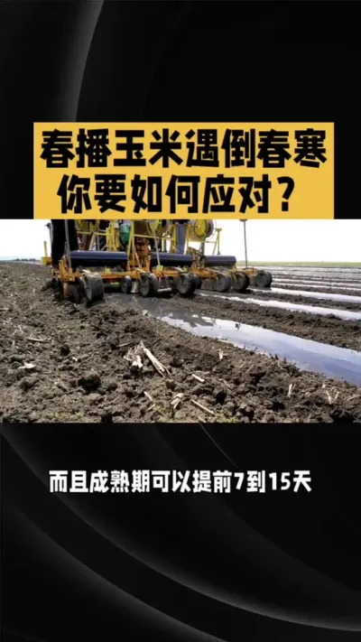 倒春寒如何应对！