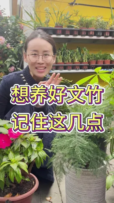 想养好文竹，记住这几点#文竹#种植小技巧 #花卉绿植 #爱生活爱养花 #文竹怎么养