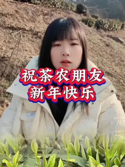 #服务三农支持三农 #茶树种植技术与管理 #茶 #抖音助农 #春茶采摘