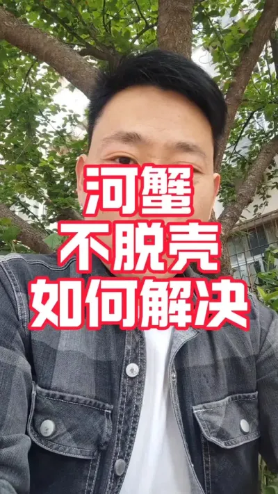 养殖大闸蟹不脱壳原因分析#大闸蟹养殖#螃蟹养殖#河蟹养殖#大闸蟹#水产养殖