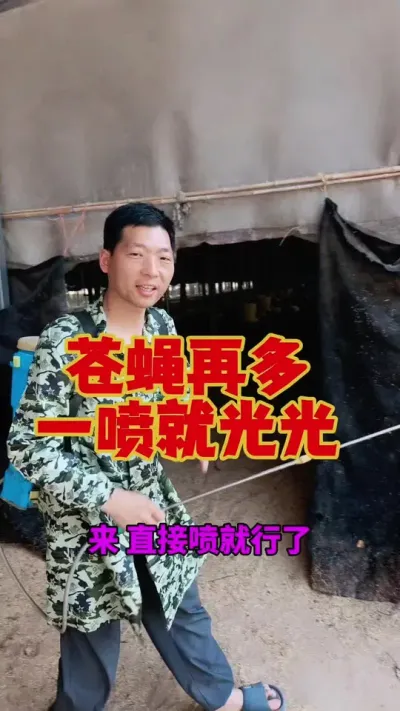 养殖场里苍蝇再多，用它一喷就光光。#养鹅 #鹅苗 #狮头鹅 #养鹅技术 #养鹅人