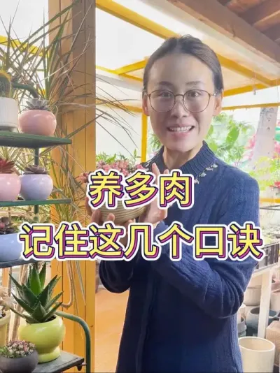 养多肉记住这几个口诀#多肉 #多肉植物 #多肉养护 #花卉绿植 #养花小知识