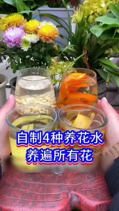 4种自制养花水#三农 #养花小知识 #英子园艺