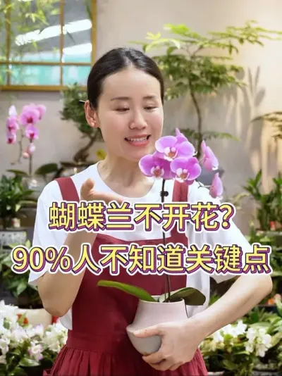 蝴蝶兰不开花？90%人不知道关键点#蝴蝶兰 #蝴蝶兰养护 #花卉绿植 #养花小知识 #养花人的乐趣