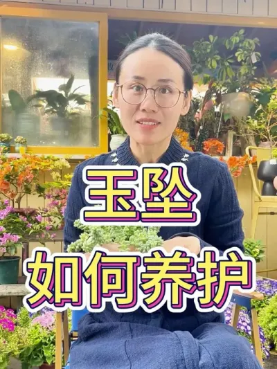 玉坠如何养护#花卉绿植 #养花小知识 #玉坠多肉 #多肉植物 #种植小技巧