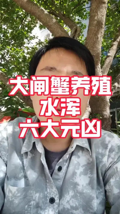 大闸蟹养殖水浑六大元凶#大闸蟹养殖#河蟹养殖#螃蟹养殖#大闸蟹#水产养殖