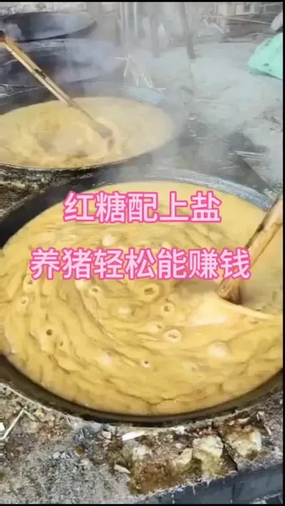 #养猪人加油干 #三农 #三农养猪 #自繁自养 #养猪人不容易