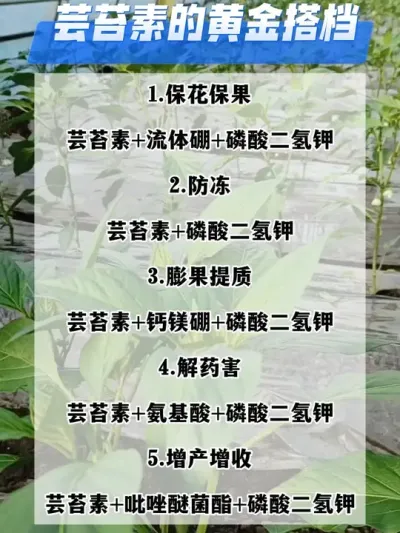 芸苔素几个经典搭配#分享农业知识帮农民增产增收 #三农 #抖音助农