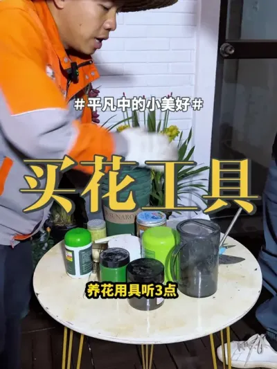#花卉绿植 #盆栽 #养花  养花的工具很多，总结了3点，仔细看完不踩坑