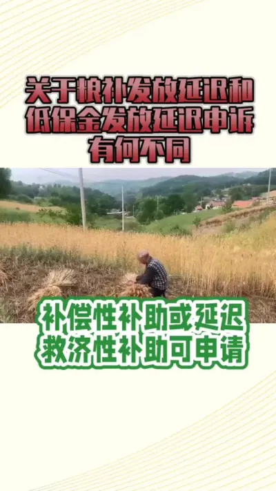 粮补 低保金延迟咋办？