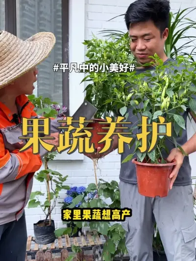 果蔬养护 #辣椒 #西瓜 #养花 #葡萄 养果蔬要知道这4种催果技巧，你就这样做