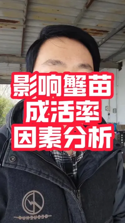 蟹塘放苗前期影响成活率问题分析！#大闸蟹#养蟹人 #螃蟹养殖 #河蟹养殖 #抖音助农