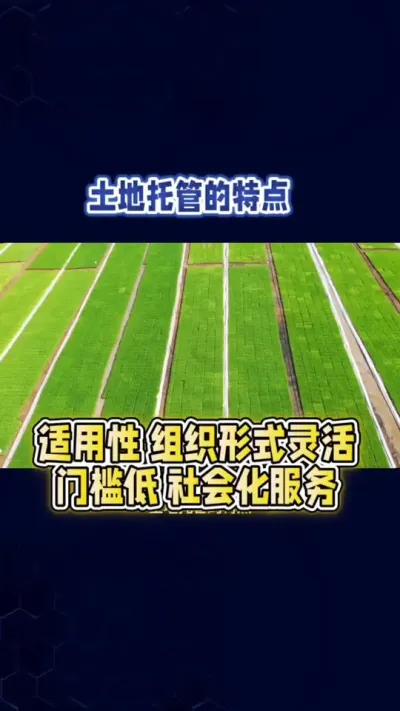 土地托管（二）