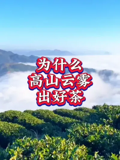 #服务三农支持三农 #抖音助农 #茶树 #茶 #茶树种植技术与管理