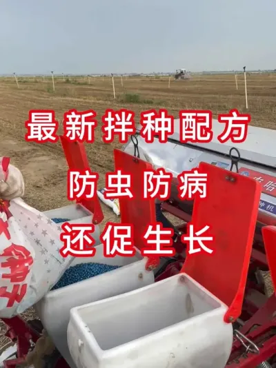 包衣拌种后，大豆亩产翻倍 #三农流量扶持计划 #抖音助农 #大豆种植 #农业植保知识分享 #服务三农支持三农