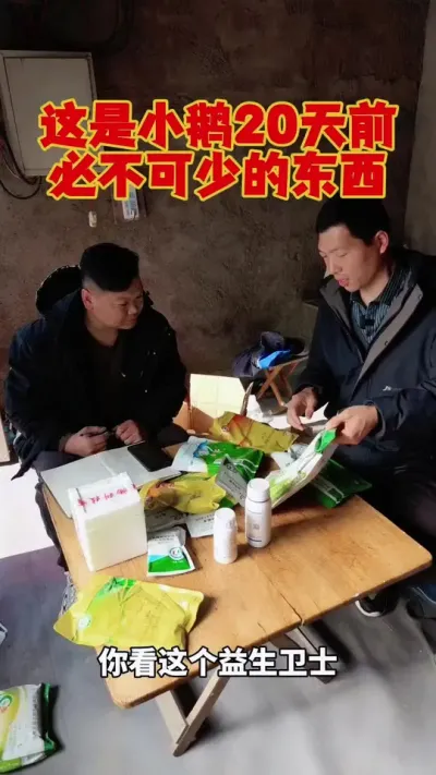 20天以前的小额鹅，这个东西千万不能少。#养鹅 #养鹅技术分享 #科学养鹅 #狮头鹅