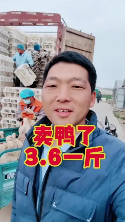 7万只鸭今天开卖了，3.6块钱一斤！#养鹅 #鹅苗 #狮头鹅 #养鹅技术 #养鹅人