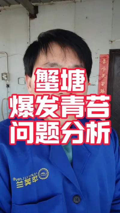 蟹塘爆发青苔问题分析！#螃蟹养殖 #河蟹养殖 #大闸蟹养殖 #螃蟹#抖音助农