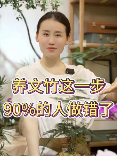 养文竹这一步90%的人做错了#文竹 #文竹盆栽 #文竹怎么养 #花卉绿植 #养花小知识