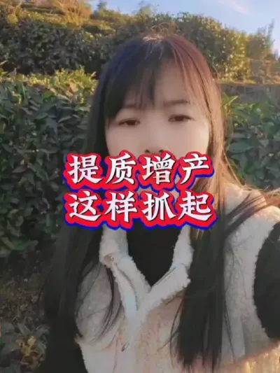 #服务三农支持三农 #抖音助农扶农 #茶树 #茶树种植技术与管理 #叶面肥这样用更高产