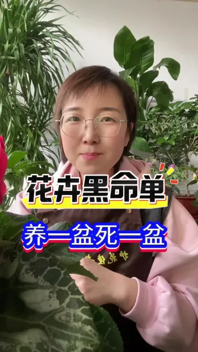 花卉黑名单，谨慎入#养花小知识 #花卉绿植 #英子园艺
