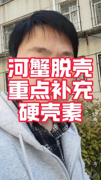 河蟹脱壳补充硬壳素是重点#硬壳素#河蟹养殖#大闸蟹养殖#螃蟹养殖 #抖音助农