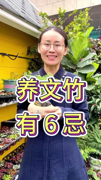 养文竹有6忌#花卉绿植 #文竹怎么养 #室内盆栽植物文竹 #养花小知识 #爱生活爱养花