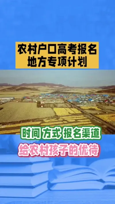 地方专项计划