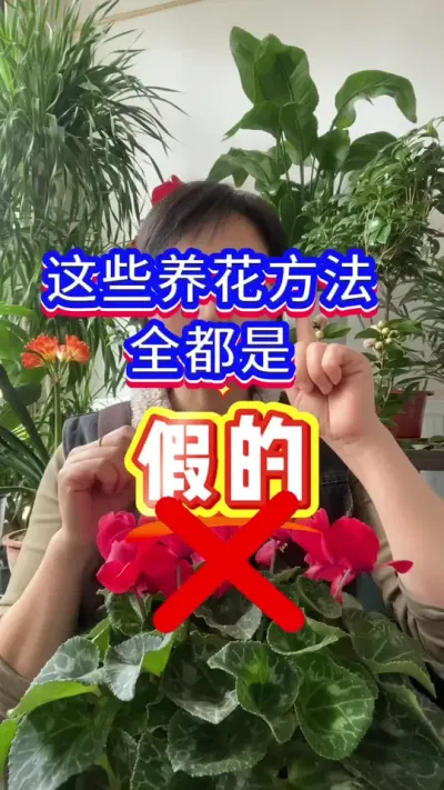 正确的养花方法#养花小知识 #花卉绿植 #花卉养护