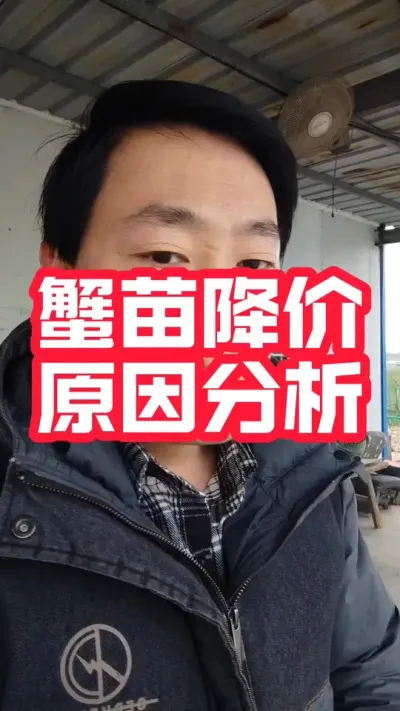 河蟹养殖蟹苗降价问题分析#大闸蟹养殖 #河蟹养殖 #螃蟹养殖 #蟹苗养殖 #抖音助农