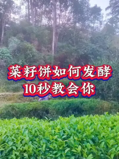 #服务三农支持三农 #茶树种植技术与管理 #茶园施肥
