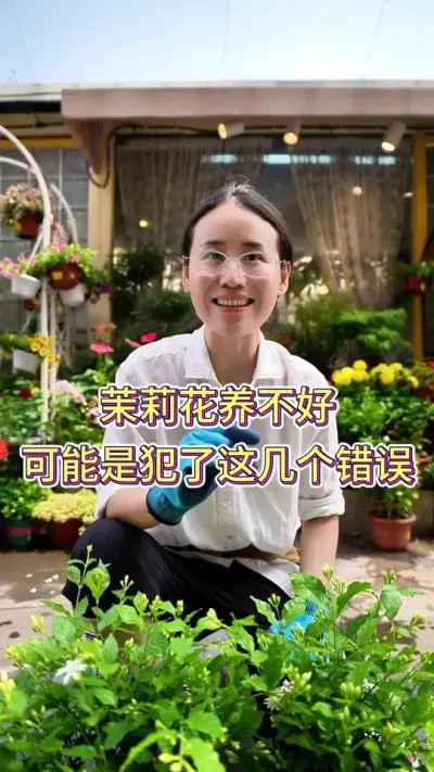 茉莉花养不好，可能是犯了这几个错误#茉莉花 #茉莉花怎么养护 #养花小知识 #养花人的乐趣 #养花我是认真的
