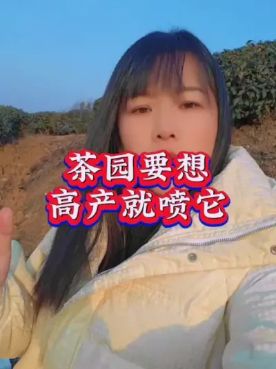 #茶树 #茶树种植技术与管理 #茶 #叶面肥这样用更高产 #采茶