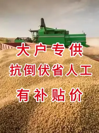 抗涝抗旱、高产稳产品种，现在下单享大户补贴价！ #三农流量扶持计划 #抖音助农 #大豆种植 #产量特别高 #农业种植