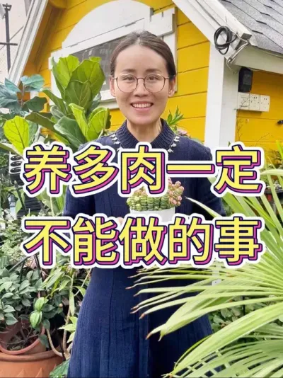 养多肉一定不能做的事#多肉植物 #爱生活爱养花 #多肉养护 #种植小技巧 #种植小技巧