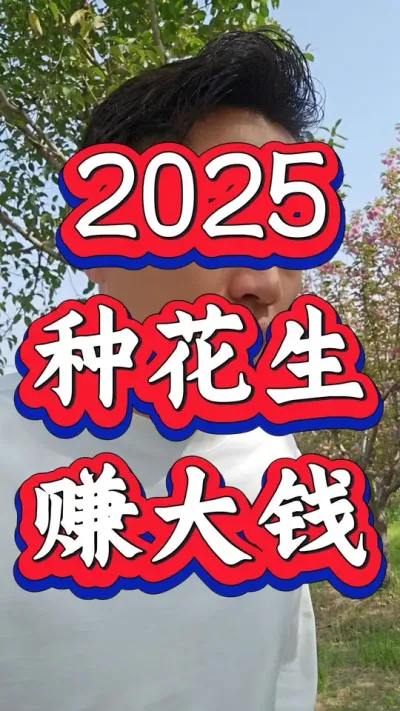 2025年种花生，发大财，赚大钱。#花生种植 #种花生 #花生高产 #花生种植管理技术 #花生高产种植