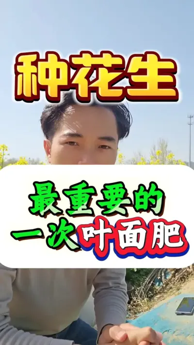 花生一生当中最重要的一次叶面肥，什么时间打？怎么打？打什么？#花生种植 #花生高产 #花生种植管理技术 #种花生 #花生高产种植
