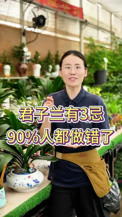 君子兰有三忌，90%人都做错了#君子兰 #君子兰开花 #养花小知识 #养花我是认真的 #花卉绿植