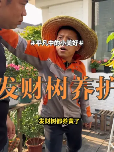 #花卉绿植 #发财树 #绿植 发财树养护，其实只要注意养根