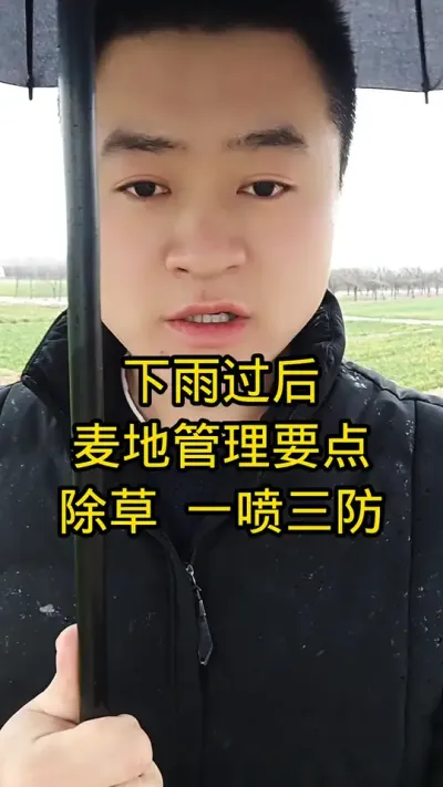 #农资肥料 #分享农业知识帮农民增产增收 #抖音助农 #病虫害防治 #下雨
