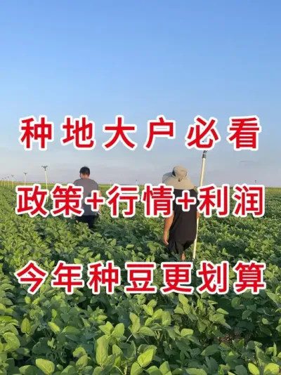 种地大户注意，今年大豆更吃香 #三农流量扶持计划 #抖音助农扶农 #农业植保知识分享 #三农知识 #大豆种植